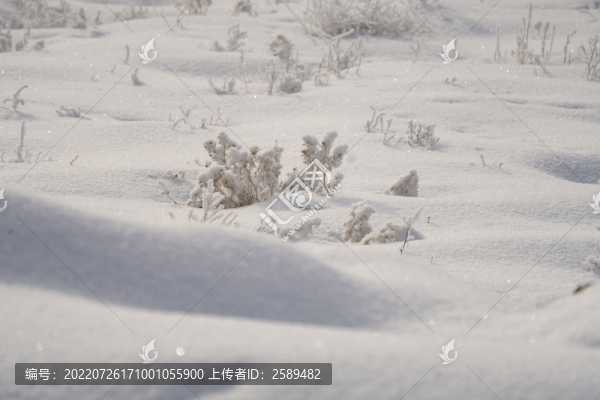 雪景