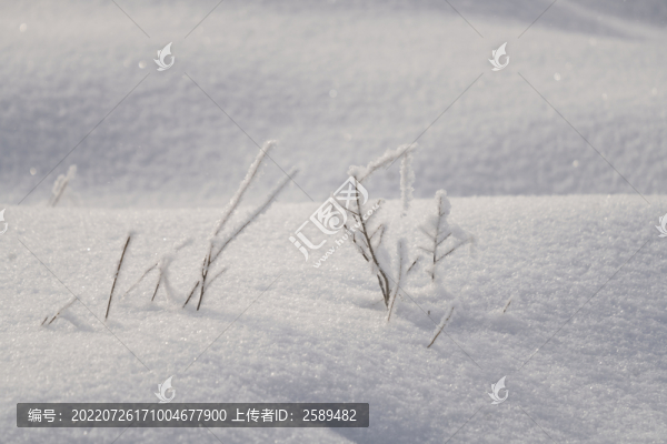 雪景