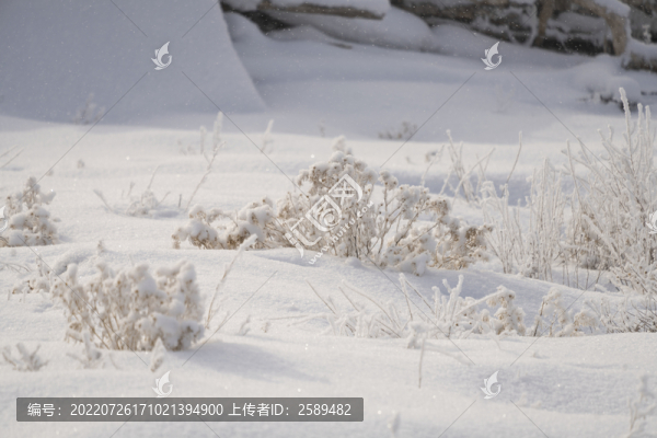 雪景