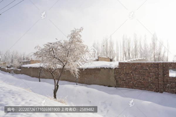 雪景