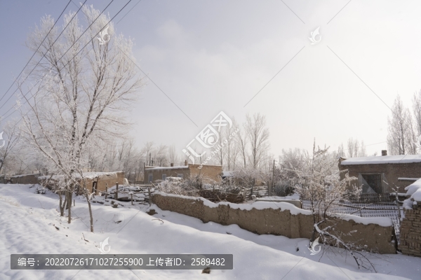 雪景