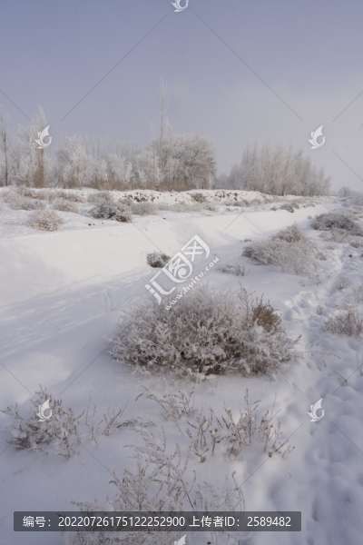 雪景