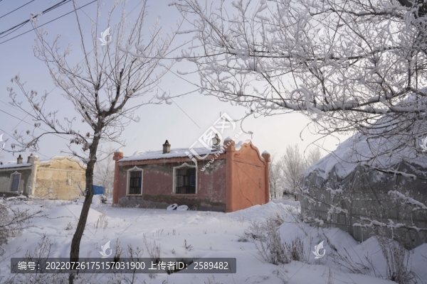 雪景
