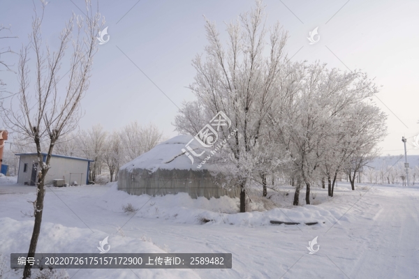 雪景