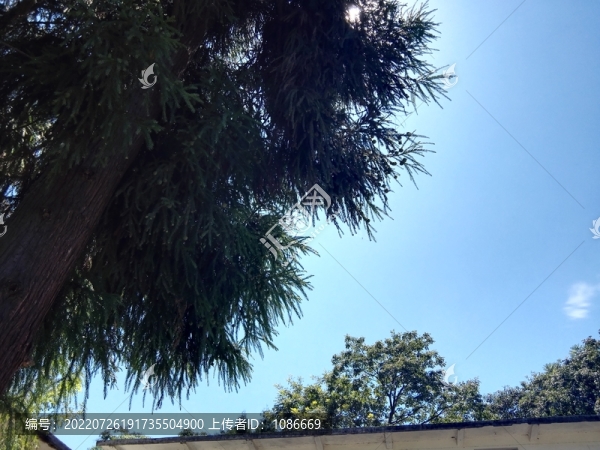 復(fù)古建筑籃筐舊學(xué)校風(fēng)景