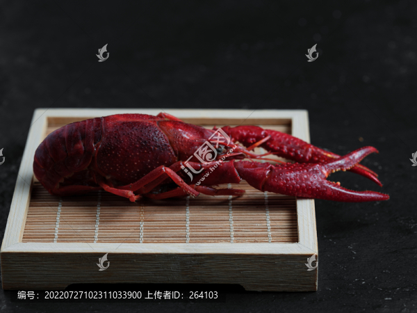 夏日小龍蝦微距特寫