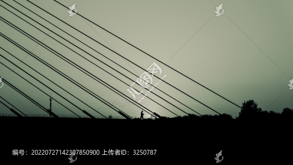 大橋