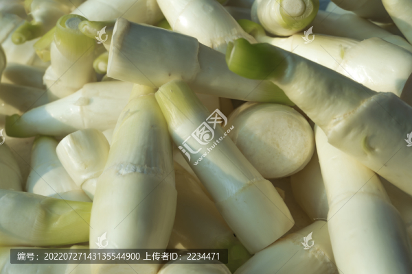 高筍
