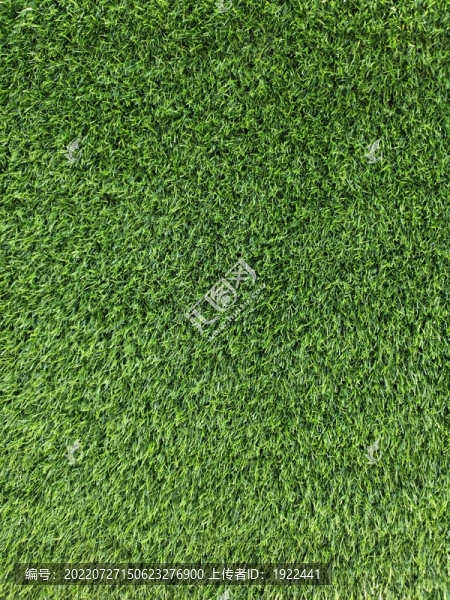 草皮背景