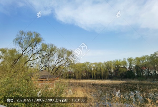 望京公園風(fēng)光