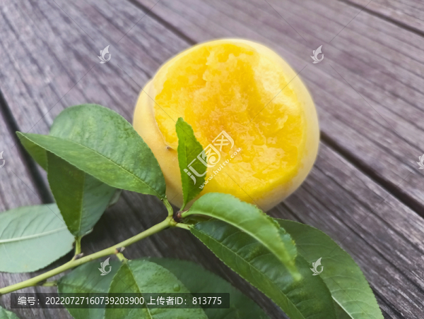 桃葉鮮黃桃