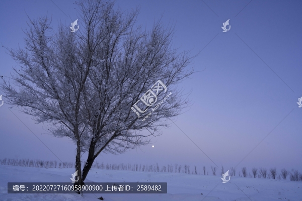 雪景