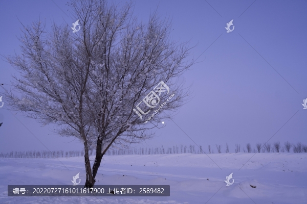 雪景