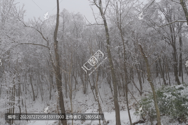 下雪啦