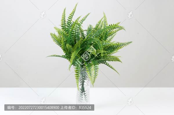 裝飾花藤