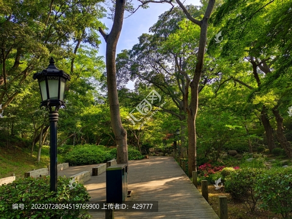 森林公園