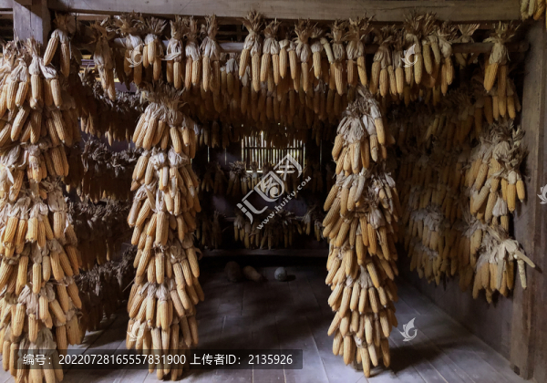 木屋頂下懸掛的包谷