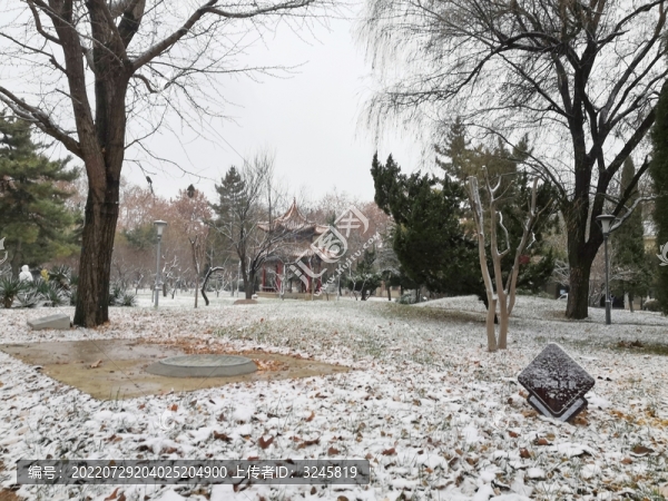 雪中園林