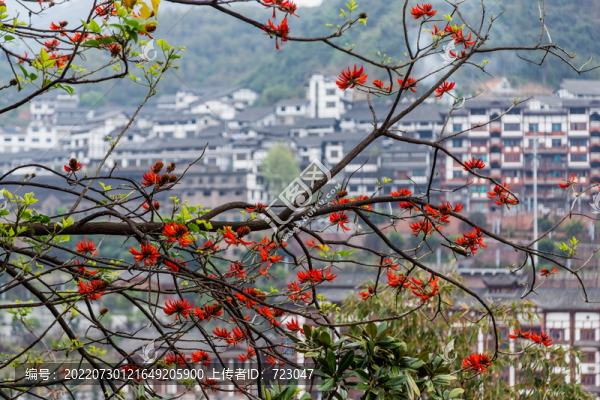 遵義市茅臺鎮(zhèn)