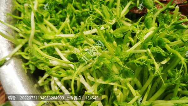 豆芽菜