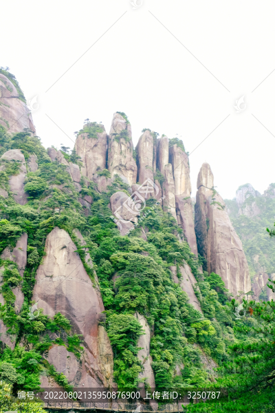 黃山