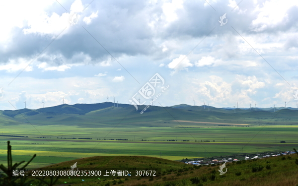 額爾古納濕地