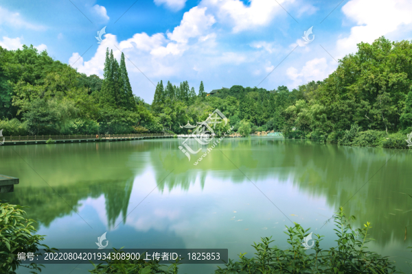 瘦西湖