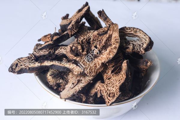 中草藥升麻
