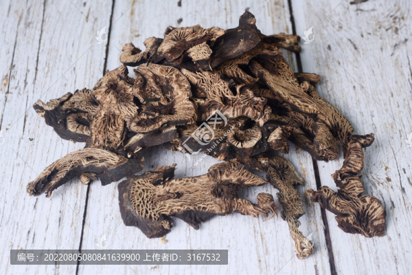 中草藥升麻