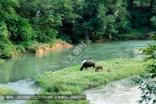青山綠水風(fēng)景