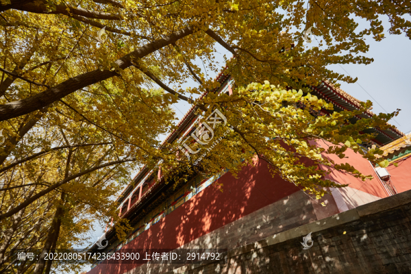 故宮景色