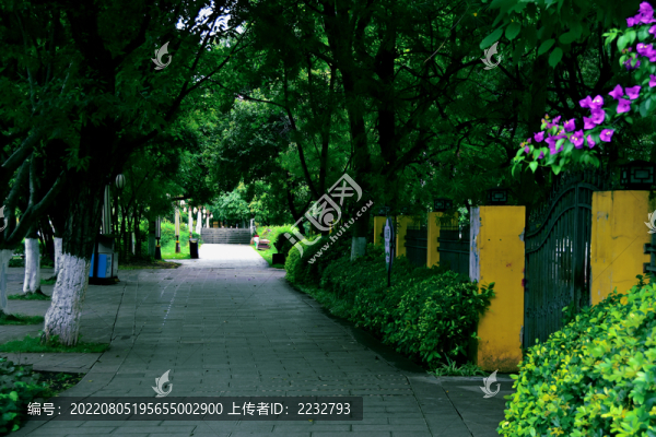 云南蒙自南湖公園一角
