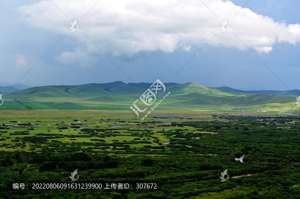 額爾古納濕地
