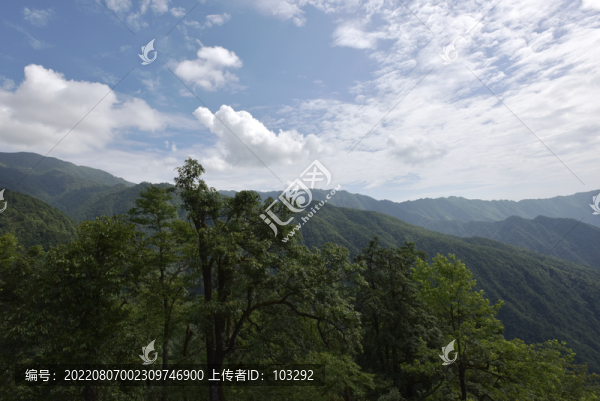 貴州武陵山脈的山林