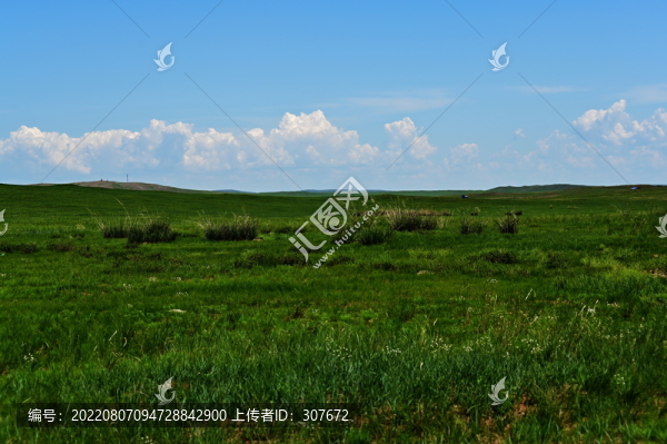 內(nèi)蒙古大草原