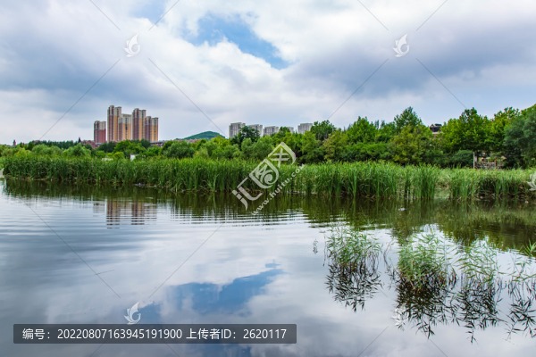 荷塘風(fēng)光