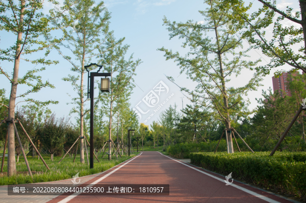 園林小道