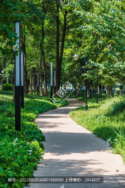 公園的路