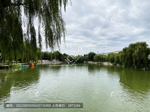 公園劃船湖水