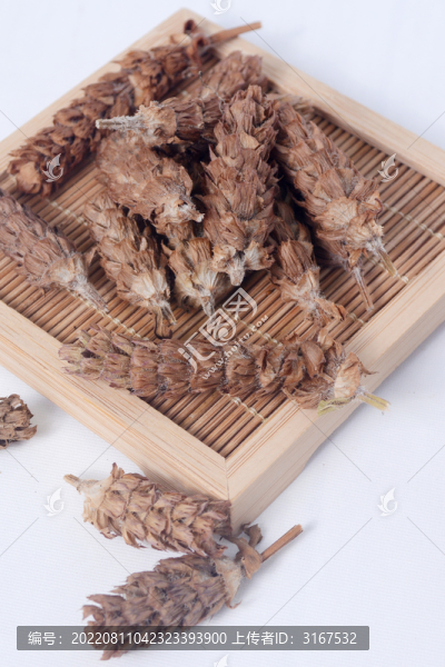 中草藥夏枯草