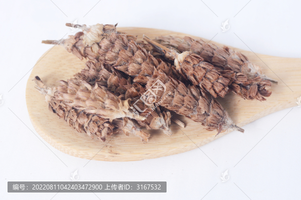 中草藥夏枯草