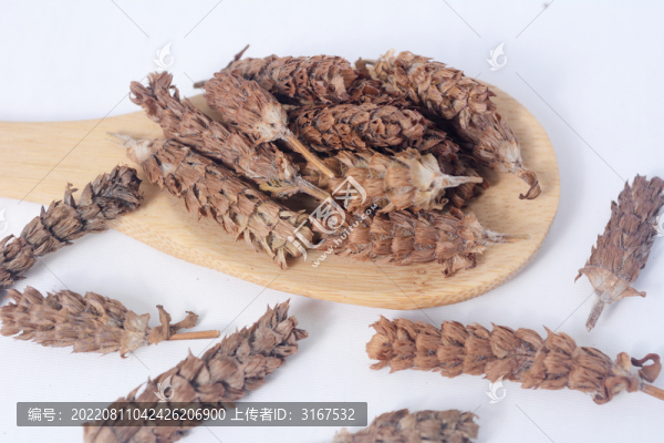 中草藥夏枯草