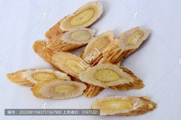 中草藥黃芪