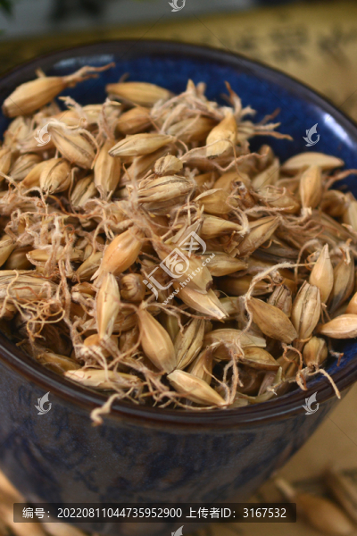 中草藥麥芽