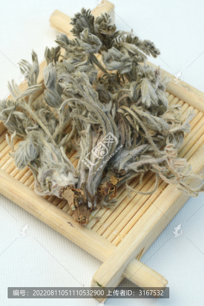 中草藥茵陳