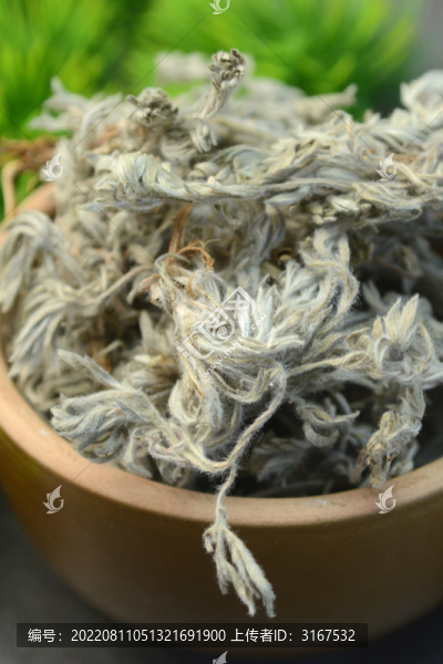中草藥茵陳
