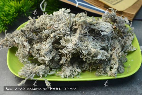 中草藥茵陳