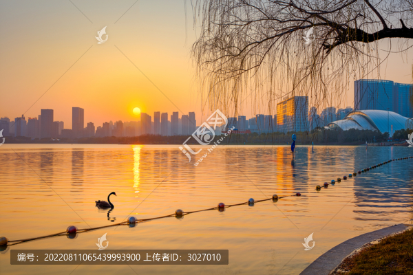 合肥天鵝湖全景圖