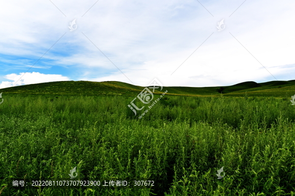內蒙古大草原