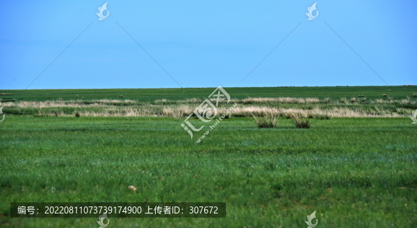 內(nèi)蒙古大草原